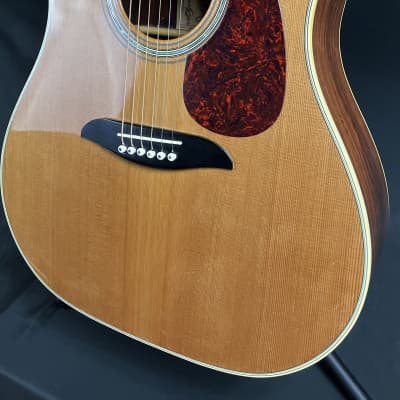 Alvarez Yairi DY50N Slope Shoulder Dreadnought Acoustic Guitar Gloss Natural w/ Case image 9