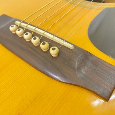 Takamine Elite TW-25 タカミネ エリート アコースティック