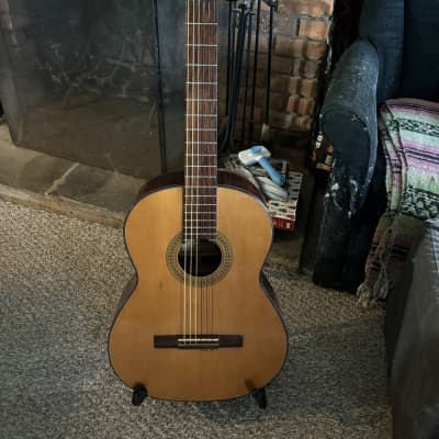 Ventura bruno V-1588 | Reverb