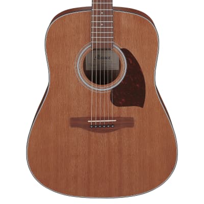 Ibanez PF54OPN Acoustic Guitar Open Pore Natural Pre-Order image 1