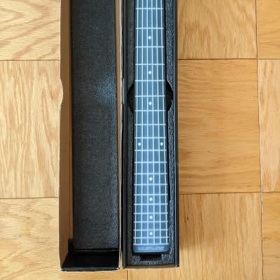 You Rock Guitar YRG-1000 Gen 2 MIDI Guitar + Additional Radius Neck image 2