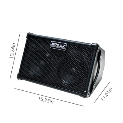 Acoustic Image Coda R Series III 511AA Acoustic Bass Amplifier 400