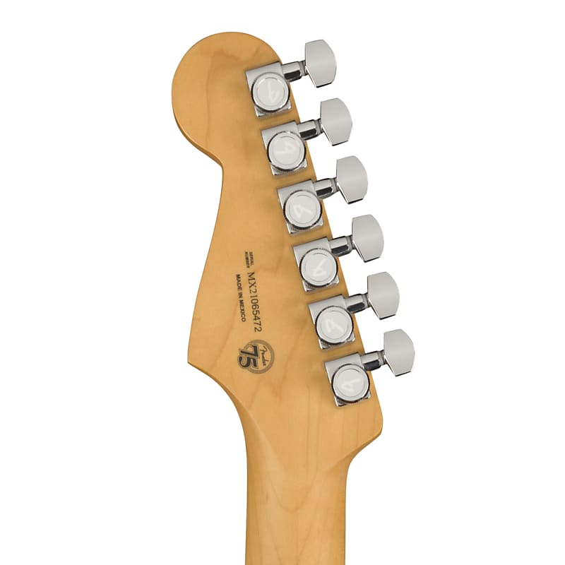 Fender Player Plus Stratocaster image 11