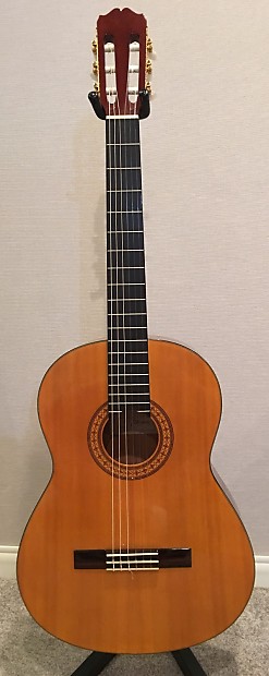 Takamine G 124