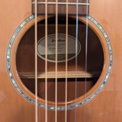 Breedlove Pursuit Concert Cutaway Acoustic/Electric Guitar Gloss Natural image 12
