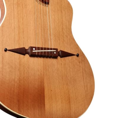 Rick Turner Classic Series Renaissance RS6 Cedar / Master Grade Walnut #5939 image 9