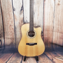 Teton STS160ZICENT Spruce/Ziricote Dreadnought with Electronics Natural