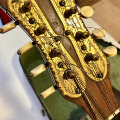 Bruno Klemm. Mandolina. Year 1890 Mandolin. image 12