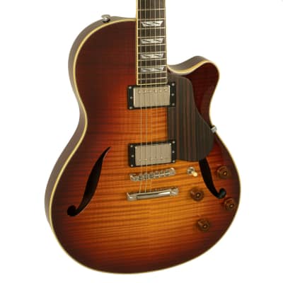 CP Thornton  Improv Light Tobacco Burst #409 (used) image 3