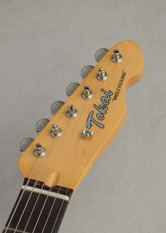 Tokai [Made in Japan] Vintage Series ATE116B ~Silver Grey
