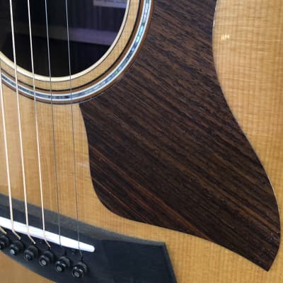 Taylor 818e Sitka Spuce Top Indian Rosewood Back & Sides with Western Floral Hardshell Case - Rep Sample, Mint image 10