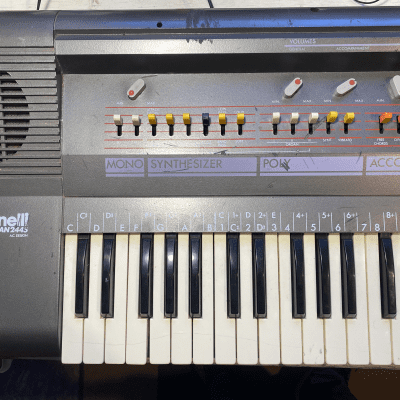 Antonelli Syntorgan 2445 Rare 80s Analog Mono Poly Organ Synth Rhythm Machine image 6