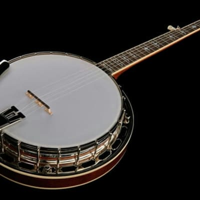 Recording King RK-R35-BR "Madison" Resonator Banjo. New with Full Warranty! image 9