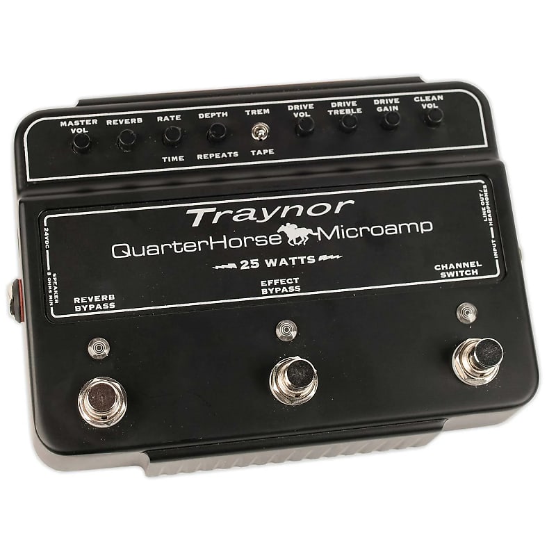 Traynor DH25H QuarterHorse Microamp 25-Watt Stompbox Guitar Amplifier image 1