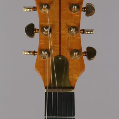 1978 Renaissance SPG "Lucite" Electric Guitar image 4