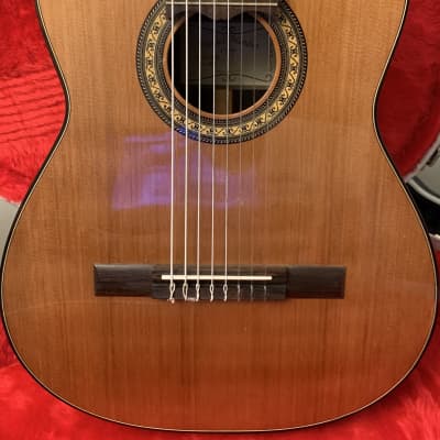Daniel Mendes Eight String Guitar 2018 Cedar / Brazilian Rosewood image 11