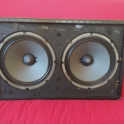 Polytone Mini-Brute V  Rare 2x10' Speakers version image 3