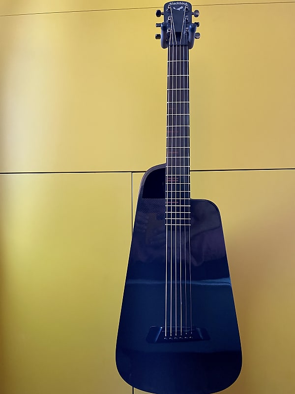 Blackbird Rider Steel String Acoustic Guitar Carbon Steel Reverb