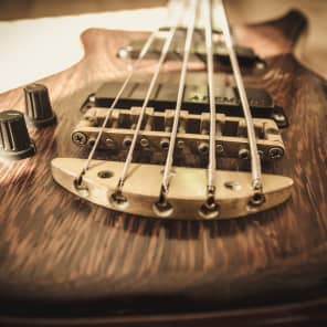 Alembic Epic Bass - Left Hand 5 String image 1