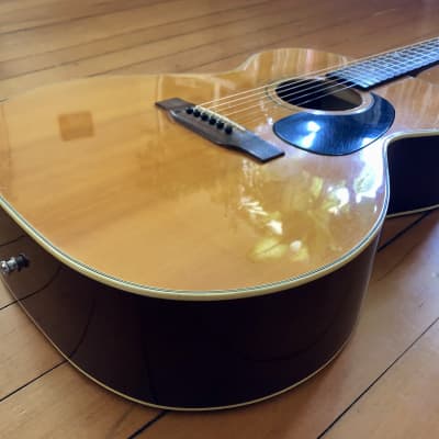 1978 Epiphone FT-120 Acoustic Guitar Made in Japan Vintage Norlin Matsumoku image 3