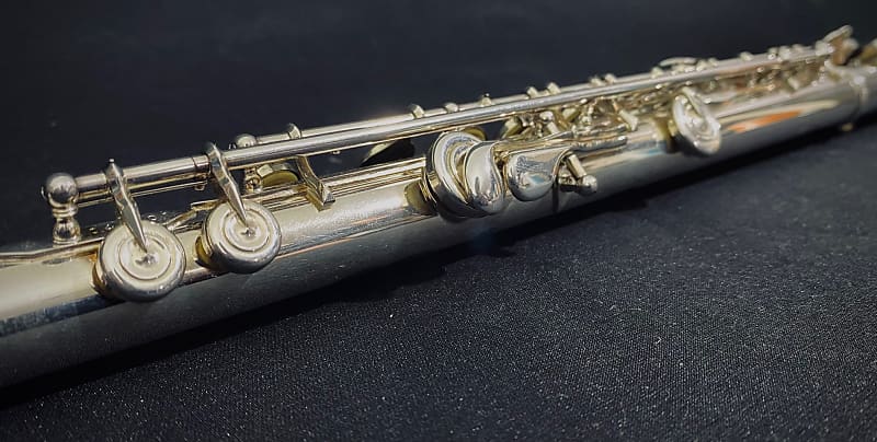 Altus A907 Professional Silver Flute, Sterling Head-Joint, In-Line G,  B-Foot w/ Case