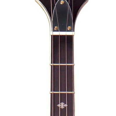 Gold Tone EBM-5 Electric Solid Body Maple Neck Mahogany Top 5-String Banjo image 2
