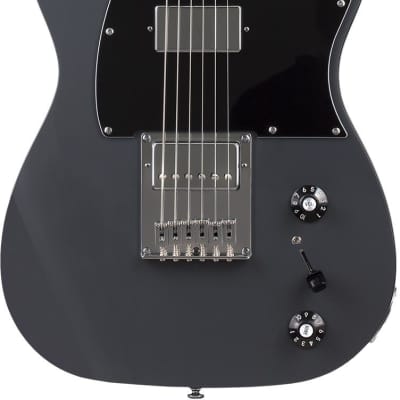Schecter PT-Ex Electric Guitar - Dorian Gray for sale