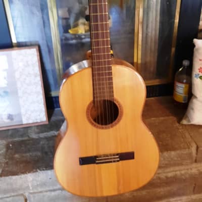 GIANNINI GN-60 CLASSICAL-FOLK 1960’s-NATURAL WOODS, NEEDS TLC AND EXPERT LUTHIER'S HANDS for sale