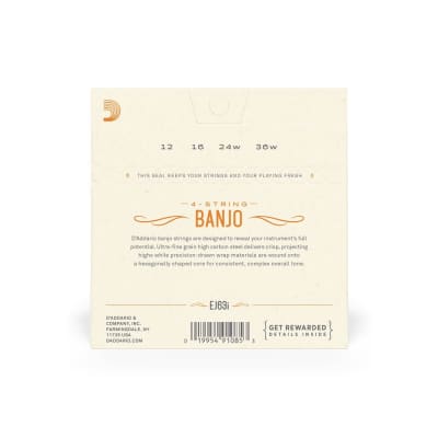 D'Addario - EJ63I - Irish Tenor Banjo Strings - Nickel-Plated Steel - 12-36 image 2