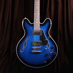 Oscar schmidt oe30 delta king guitar by washburn on sale