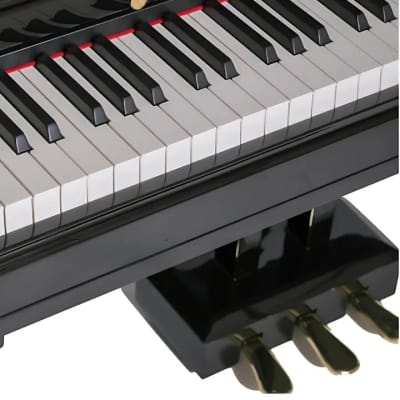 ORLA – GRAND 12O Digital Piano - Black (LOCAL DELIVERY AVAILABLE, CONTACT US)! image 5