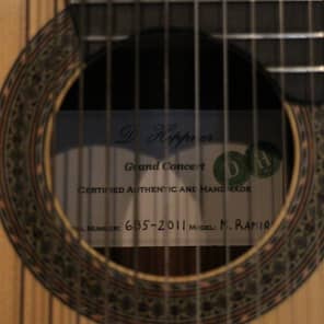 Darren Hippner 11 string Concert Classical 2011 image 8