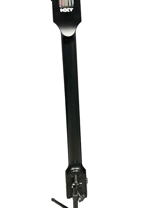 NS Design NXT4 Double Bass | Reverb