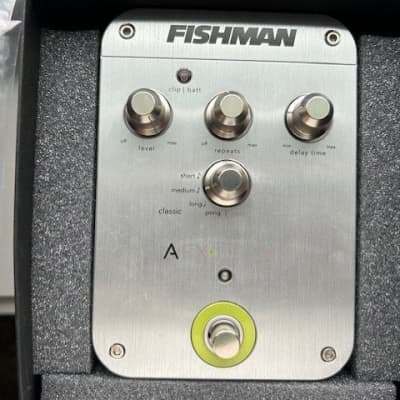 Fishman AFX Delay 2010s - Silver with Green for sale