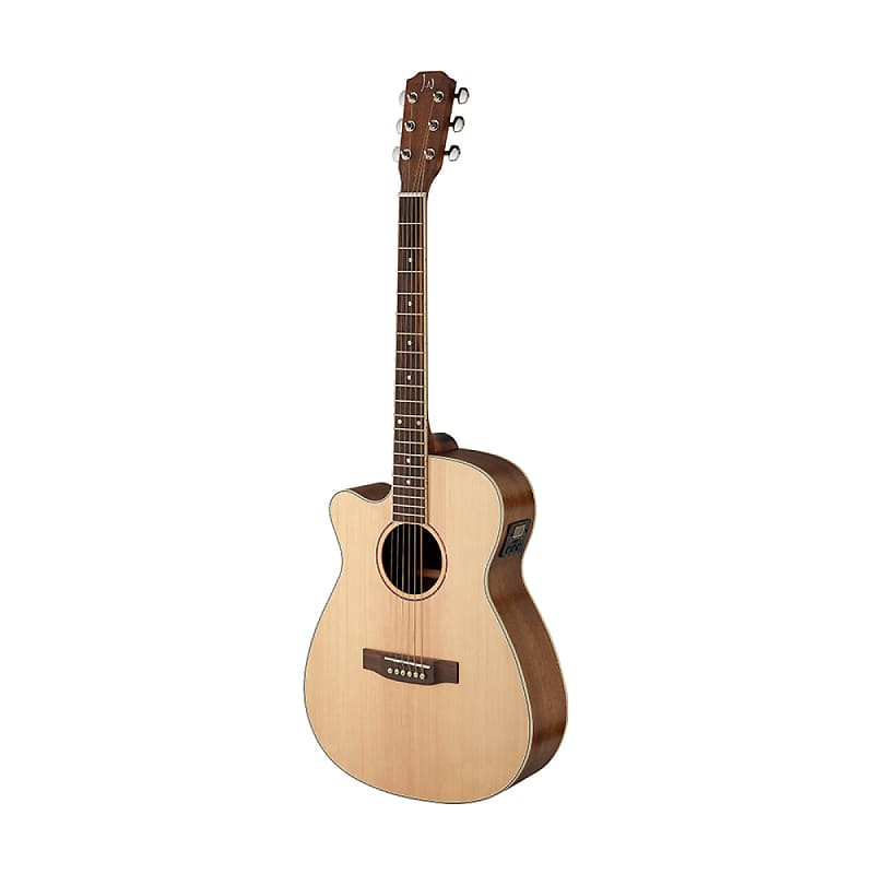 James Neligan ASY-ACE LH Auditorium Cut Solid Spruce Top 6-String Acoustic-Electric Guitar for Lefty image 1