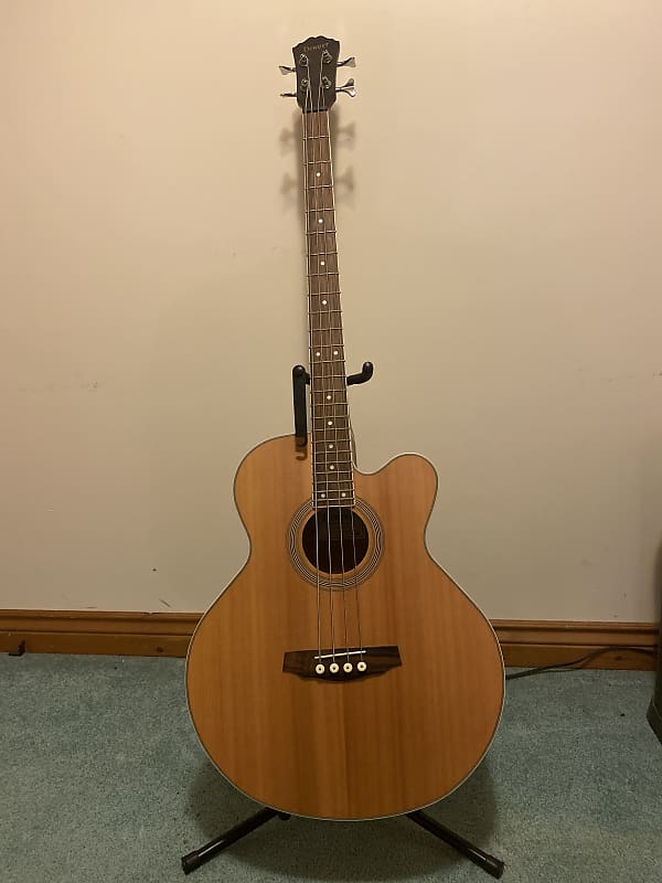 Denver Acoustic bass Reverb Canada