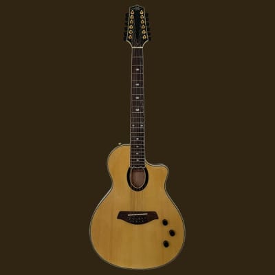 Aslin Dane  Icosa 12 String  thin line electric-acoustic guitar - Natrual  in High Gloss for sale