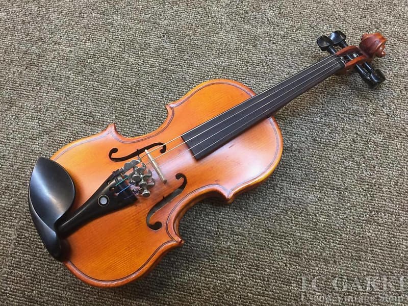 Hallstatt V 28 1 16 Violin | Reverb