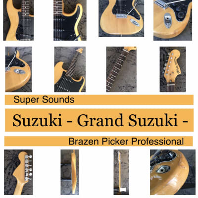 Suzuki Grand Suzuki  - Supersound Brazen Picker NT image 2