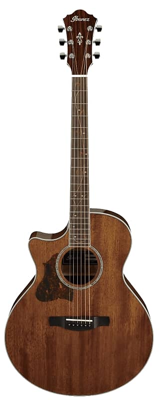 Ibanez AE245L-NT AE Series 6 String LH Acoustic Electric Guitar - Natural High Gloss image 1