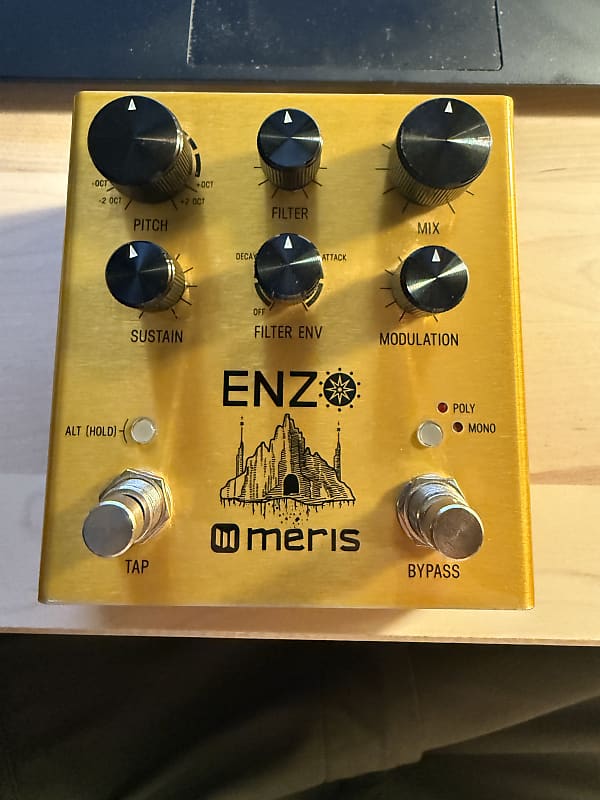 Meris Enzo