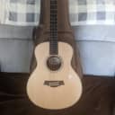 Taylor GS Mini-e Rosewood 2021 with upgrades!