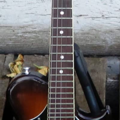 Kentucky KM300E 5-string electric mandolin image 4