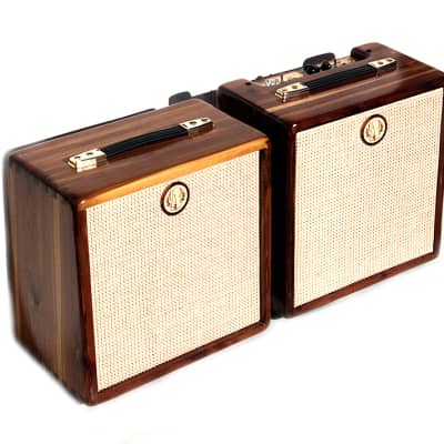 Ashen Stereo 5+5 Watts Custom Solid-State Guitar Amp Cabinet Set image 1