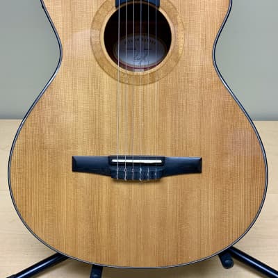 Taylor NS32ce