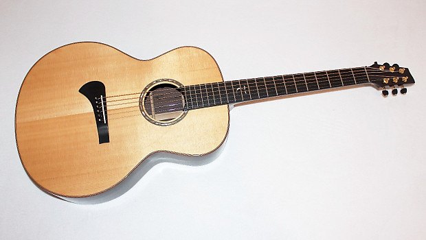 Tanglewood Master Design TSR 1 Acoustic Guitar by Michael Sanden