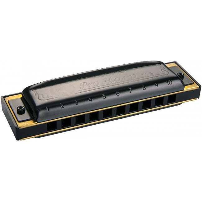 HOHNER Pro Harp MS 20 Stimmen G-Dur Diatonische Mundharmonika image 1