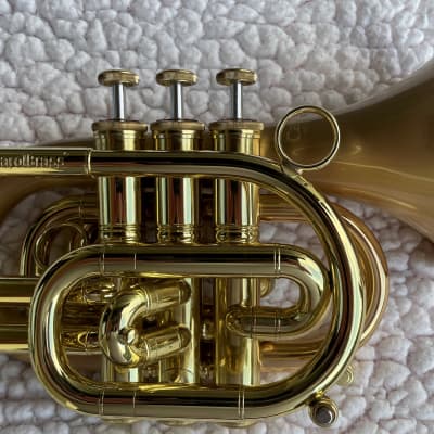 CarolBrass CPT-3000-GLS-Bb-SLB Pocket Trumpet Brass | Reverb