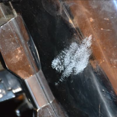 Pearl Export 7 Piece Drum Set 90 #39 s Chrome w Premier Snare Reverb