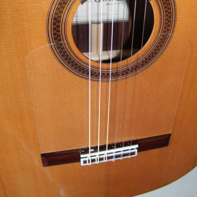 Brand New Cordoba F7 Paco Flamenco Negra Guitar with Gig Bag image 5